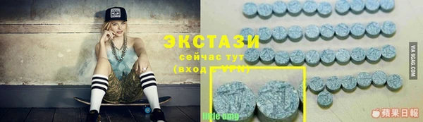 ECSTASY Каменка